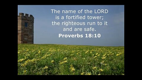 Run to the LORD your Tower