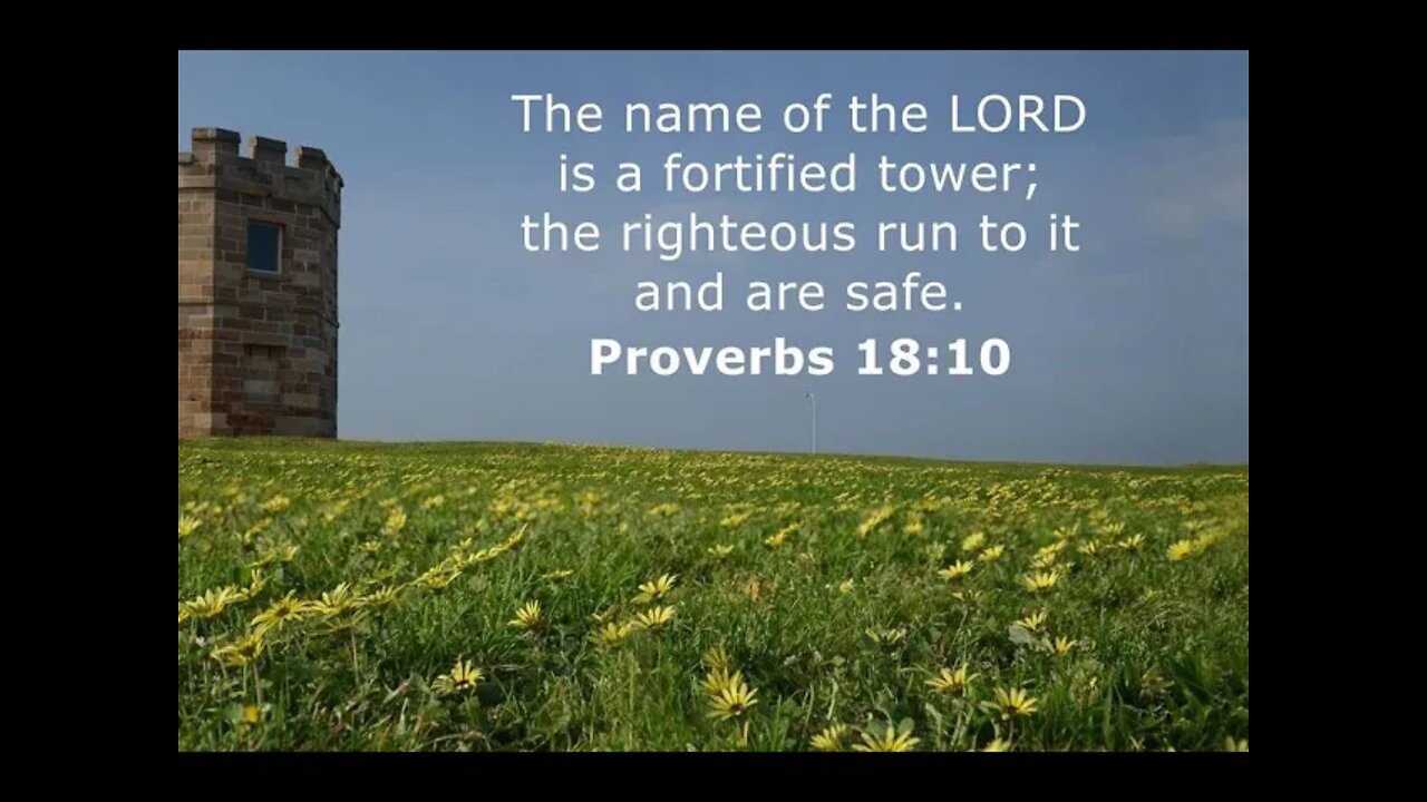 Run to the LORD your Tower