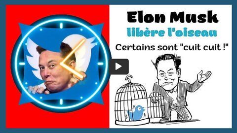 TWITTER,Elon MUSK et la liberté d'expression (Hd 720)