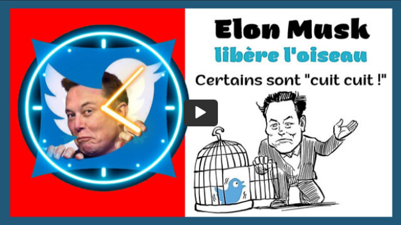 TWITTER,Elon MUSK et la liberté d'expression (Hd 720)