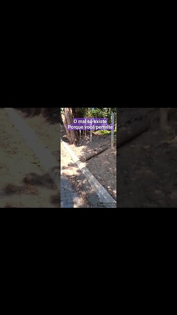 Não é só a igreja que importa mas sim o que você pratica no seu dia a dia #reflexão #jesus #shorts