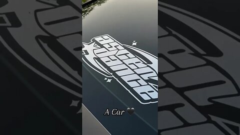 Stanced fusion 🖤