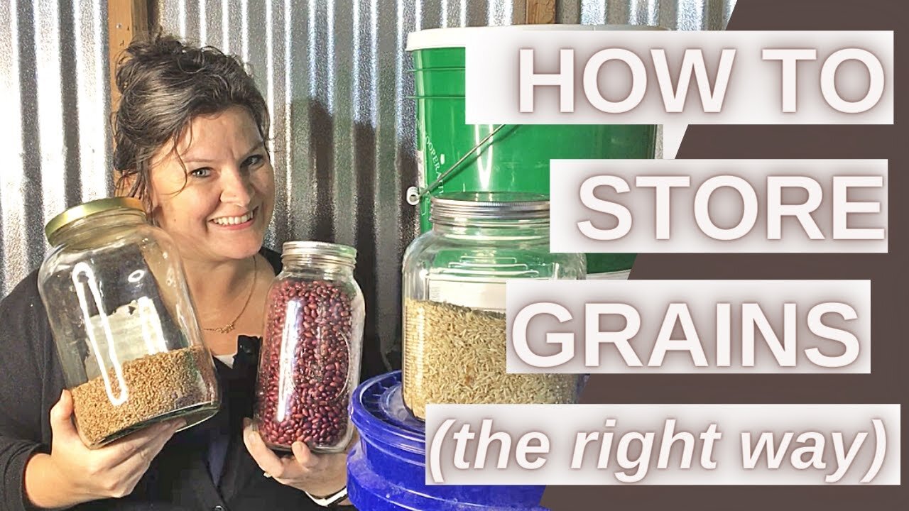 How to Store Whole Grains, Beans, Corn, Rice | Prepper Pantry with Grains | Long Term Storage