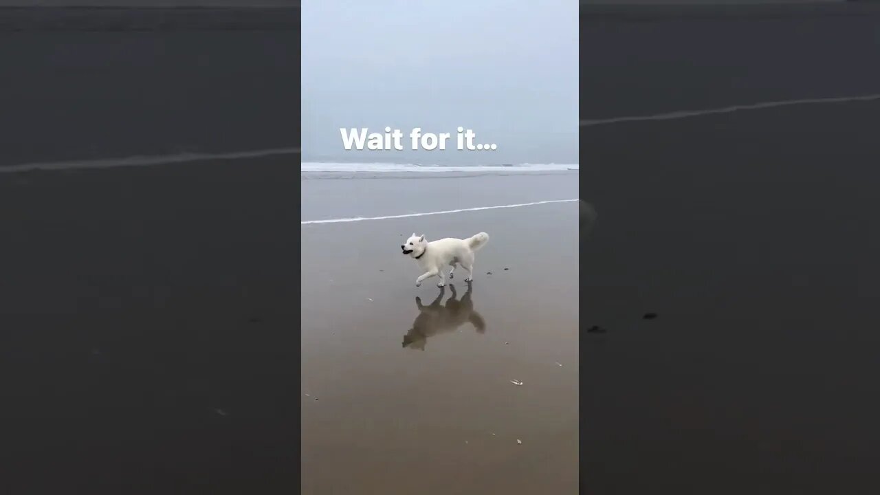 wait for it #shorts