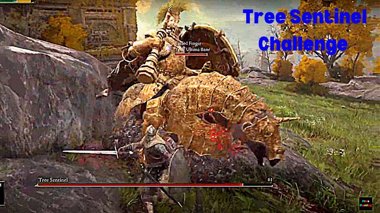 Tree Sentinel Cloud and Pros actual Challenge Elden Ring (part 1)
