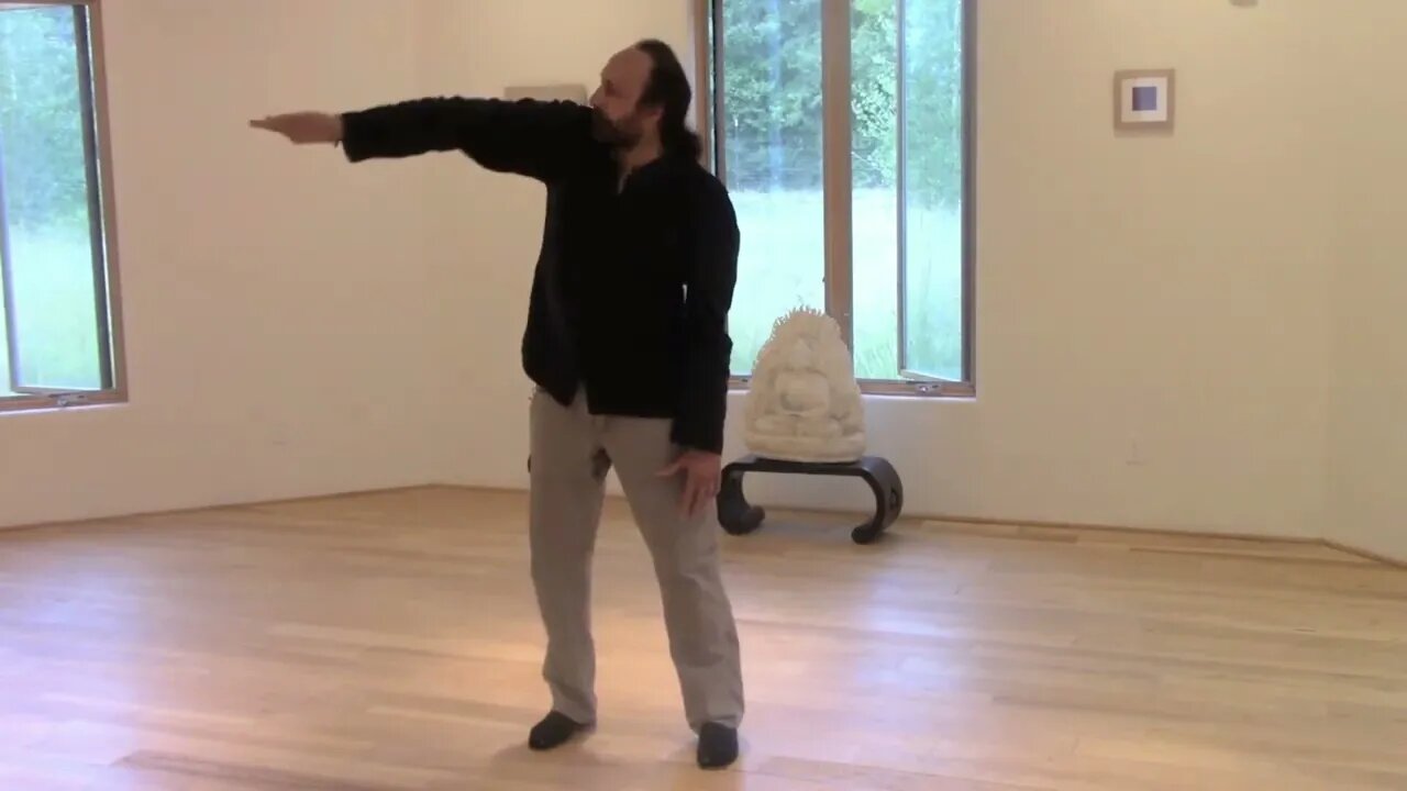 QIGONG CLASS EXCERPT - REVERSE TENDON CHANGING