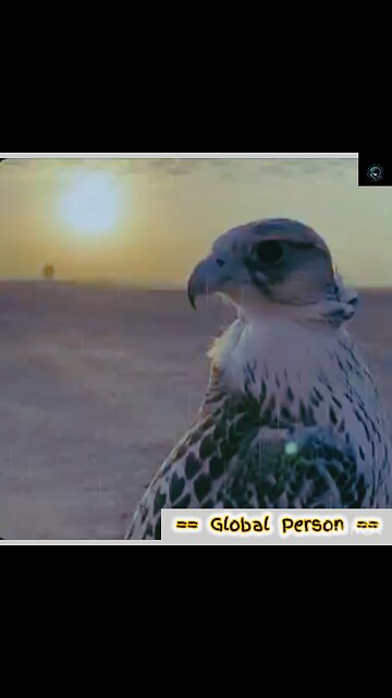 Don't Waste Your Life