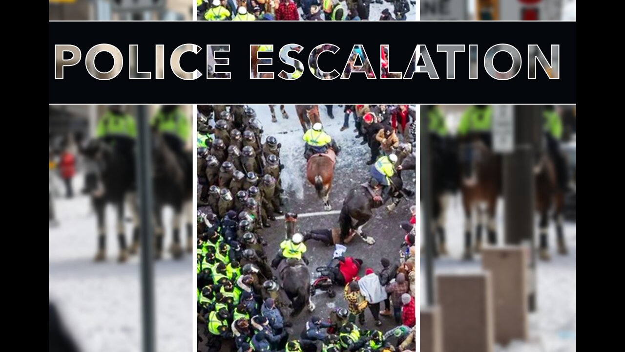 POLICE ESCALATION - Police Horses Trample Canadian Patriots