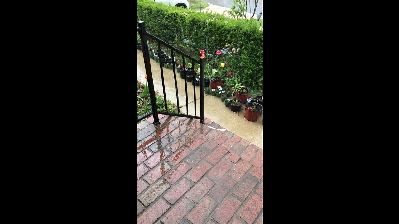 hail is falling with the rain the day before Easter 2022 at Beltsville Maryland USA