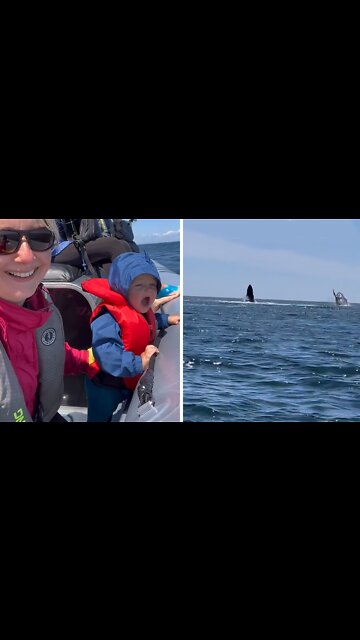 Whales Miraculously Show Up After Baby Calls For Them