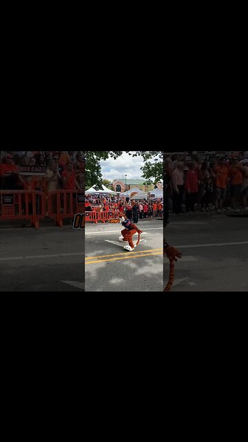 Countdown to Auburn Football: 3 Days! | #auburnfootball #auburn #collegefootball