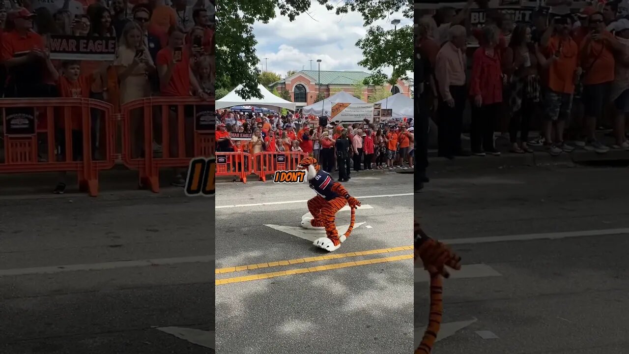 Countdown to Auburn Football: 3 Days! | #auburnfootball #auburn #collegefootball