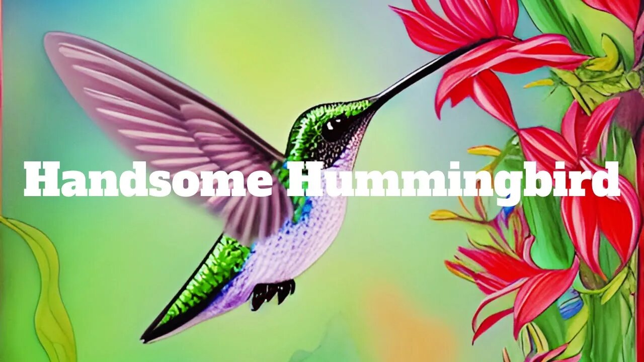 [Chill Lofi Hiphop Beat] - Handsome Hummingbird