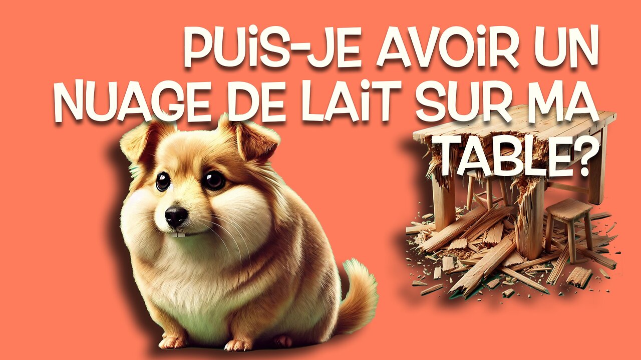 ✨ 20 astuces pour sauver tes meubles (et ton calme) quand ton chien gruge tout! 🐾