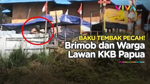 Baku Tembak Brimob vs KKB Papua, Warga Acungkan Tombak!