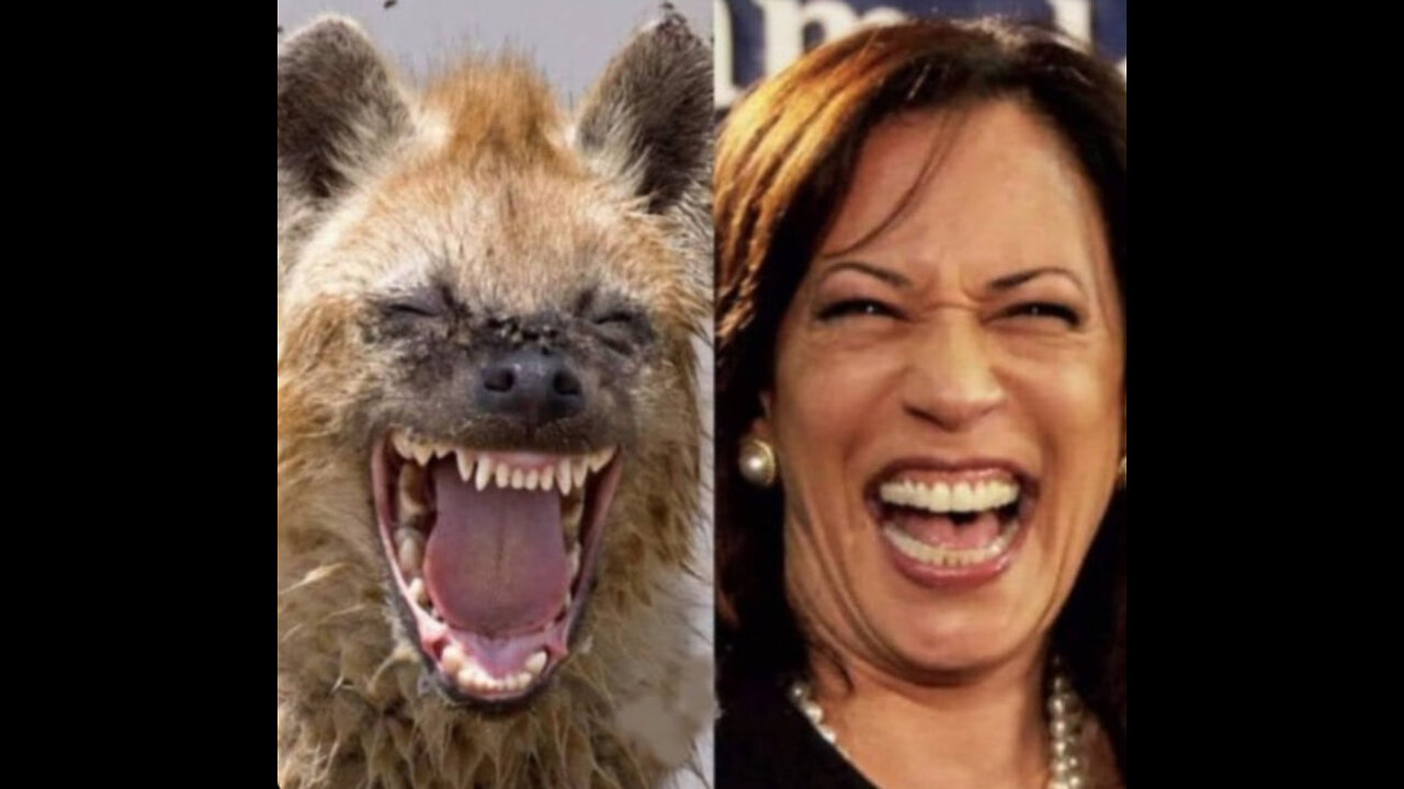 Cackling Kamala