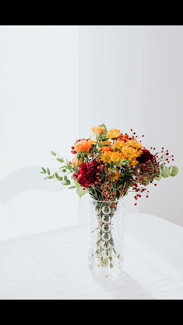 Pranks video stewry pranks boy girl