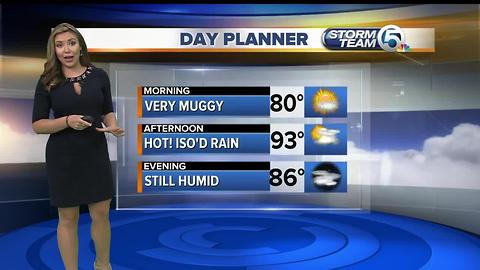 Wednesday midmorning forecast