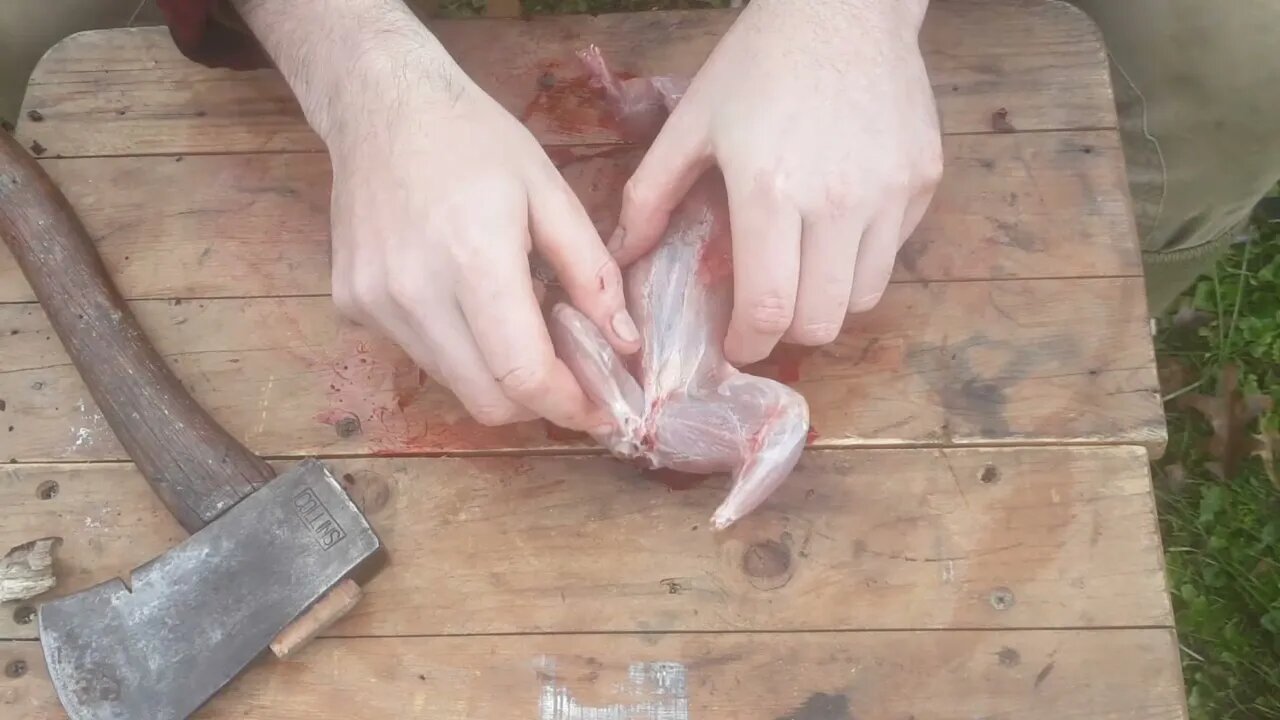 Butchering a Squirrel