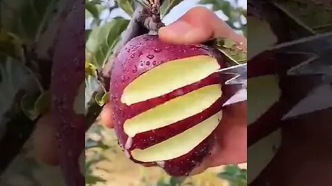 Amazing Fruits