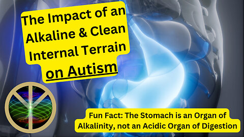 The Impact of an Alkaline & Clean Internal Terrain on Autism