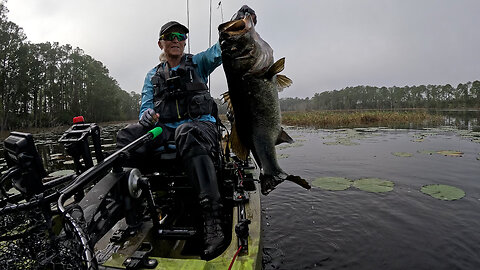 Florida Trophy Catch