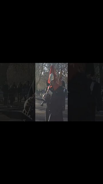 The household cavalry musical band on the mall #buckinghampalace