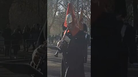 The household cavalry musical band on the mall #buckinghampalace