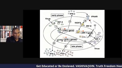 Dr.SHIVA LIVE: The INTERFERON SYSTEM - Missing Link for Building Immunity.