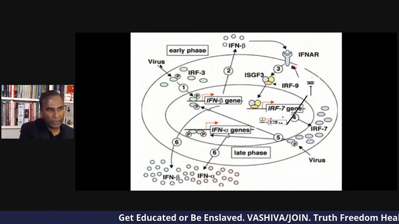 Dr.SHIVA LIVE: The INTERFERON SYSTEM - Missing Link for Building Immunity.