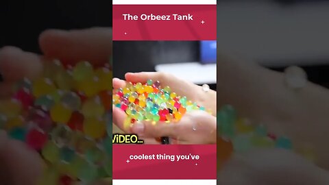 The orbeez tank | ben azelart,brent rivera,Lexi rivera |