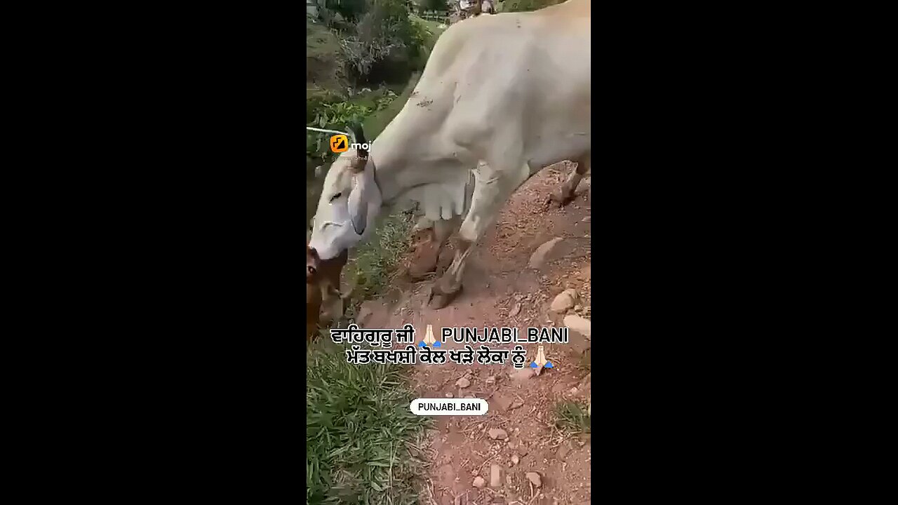 help is help