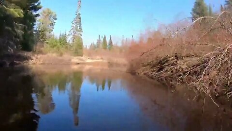 48-HOUR STEELHEAD Float Trip Catch & Cook __ Fishing for Steelhead Trout in Upper Peninsula MI % 5