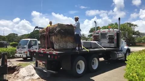 Confederate monument removed in West Palm Beach