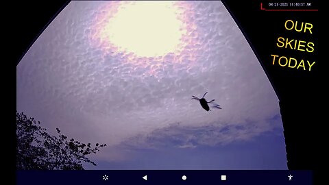 Planet X Nibiru Update, Can it get any stranger?