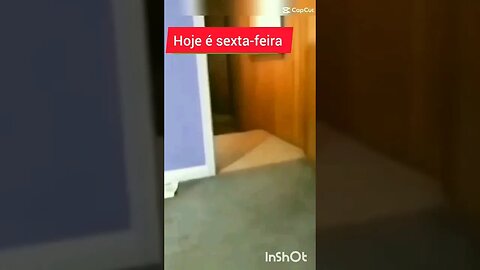 Ótima sexta-feira para você 😸