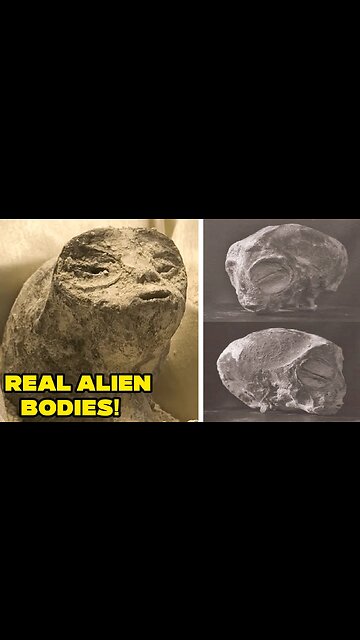 Mexico Just Released REAL ALIEN BODYS