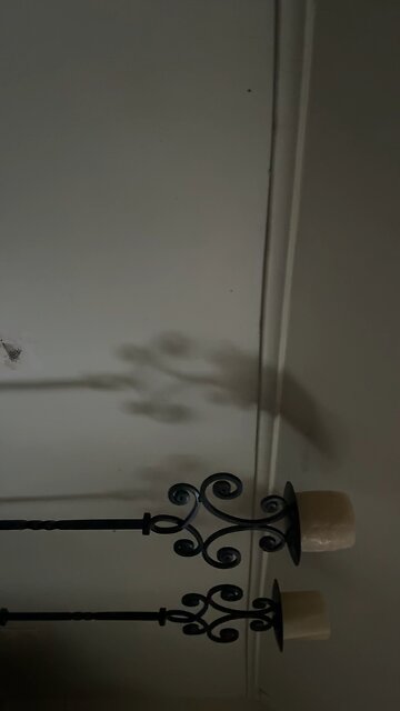 Are there shadows or are they the shadows