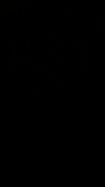 Swamp the Vote! 🗳️