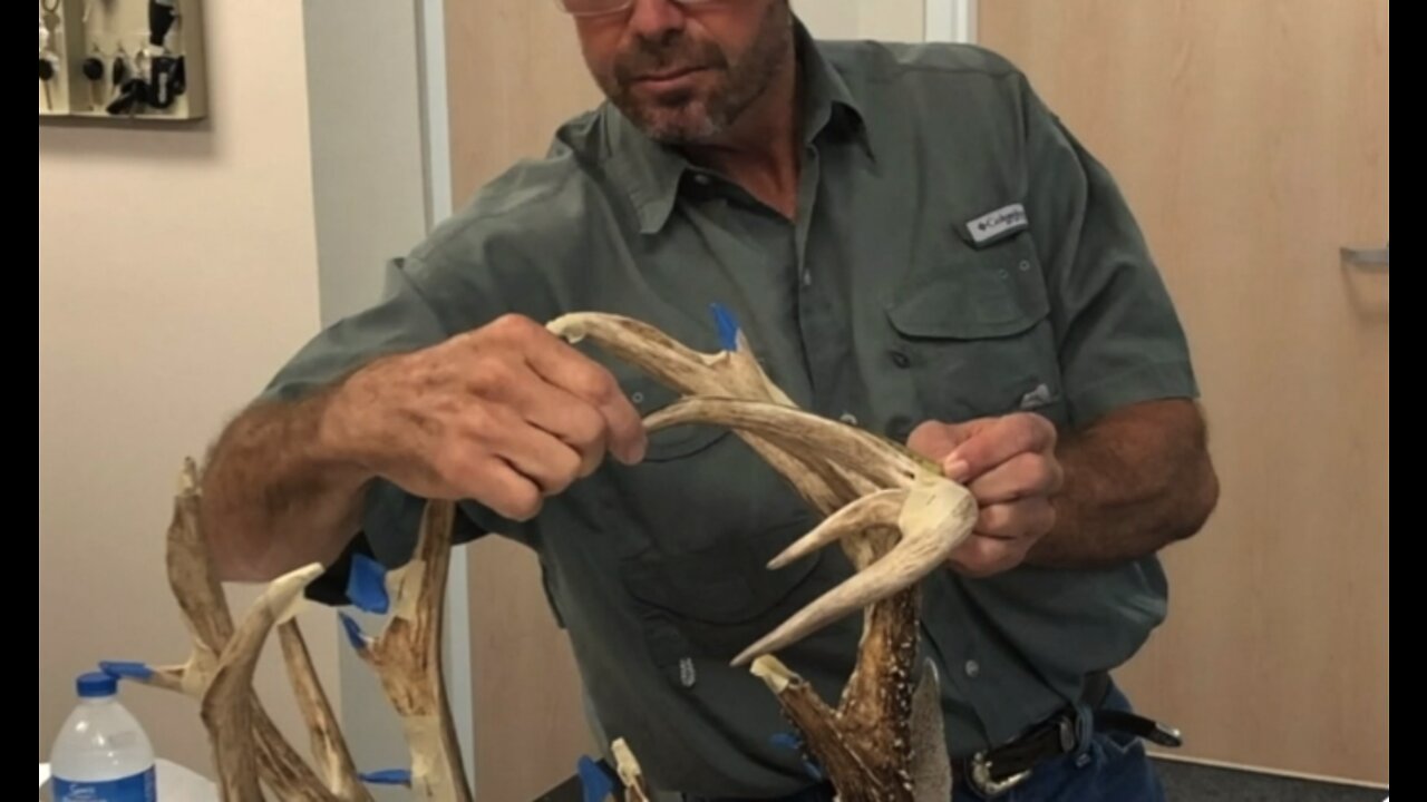 Oh Deer! Record buck remains on ice at MCSO