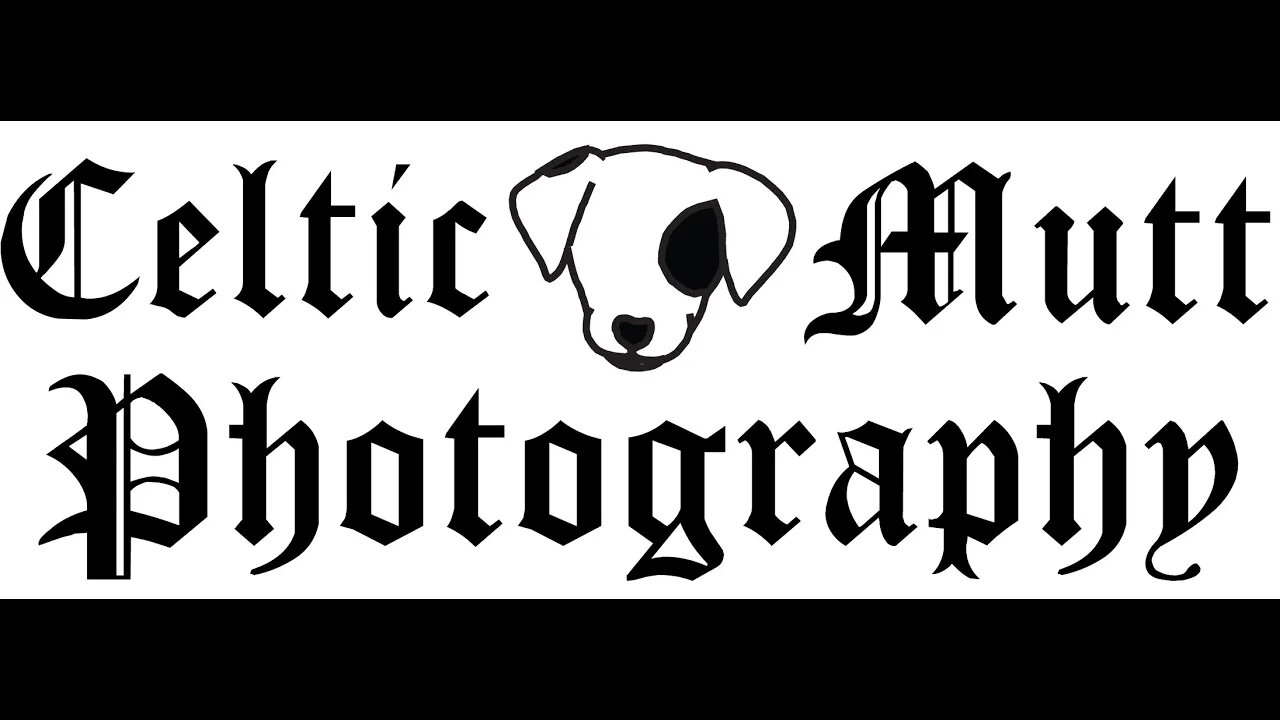 video portfolio for Celtic Mutt Photography