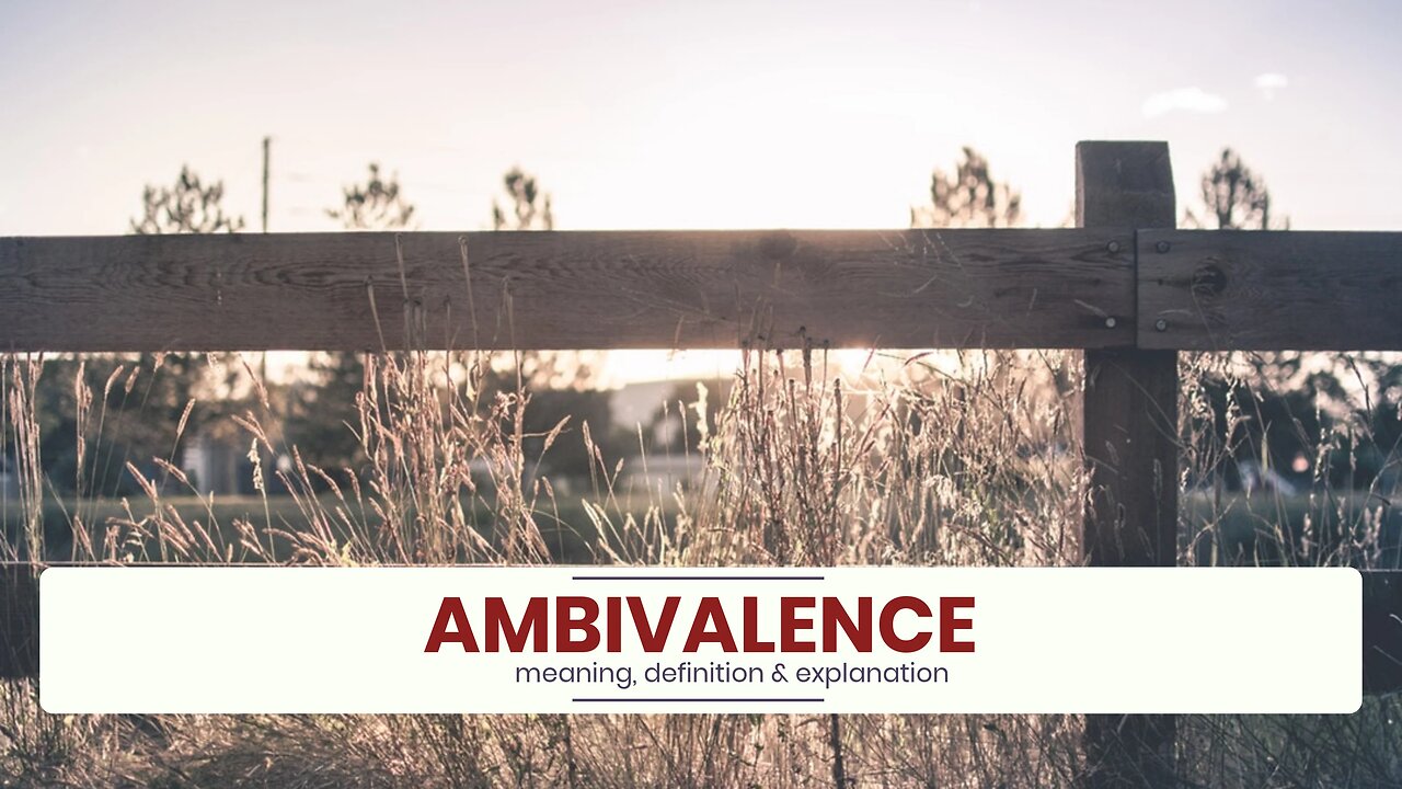 What is AMBIVALENCE?