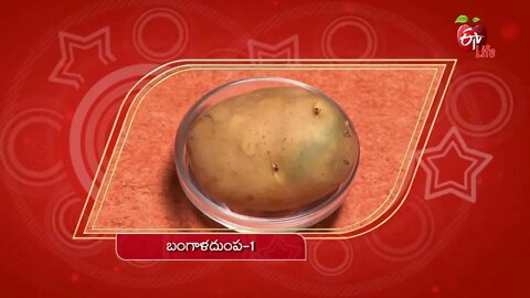 Aloo Rava Idli _ Healthy & Tasty _ 27th September 2022 _ Full Episode _ ETV Life @ 14