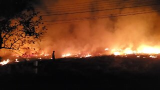 Unbelievable Wildfire in Thailand Jungle!