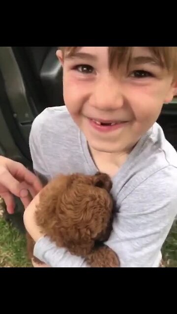 Kid Ecstatic After Receiving Brand New Puppy