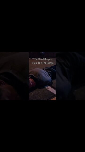 PASSED OUT ON A PORTLAND SIDEWALK From This Landscape August 15th 2022 #FTLShorts