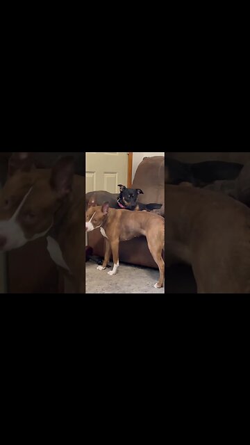 I’m just trying to relax here!