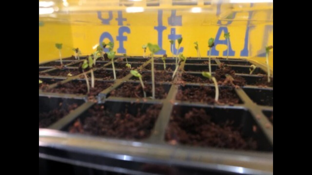 Local school fighting hunger one project at a time