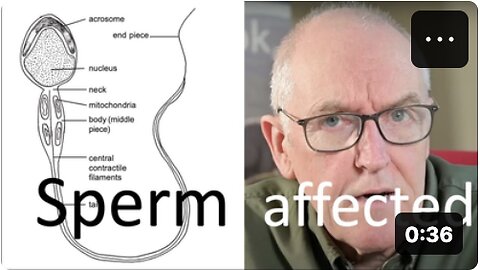 HUMAN FERTILITY THREAT - 16JUN24 - Dr. John Campbell - Vaccine Damage