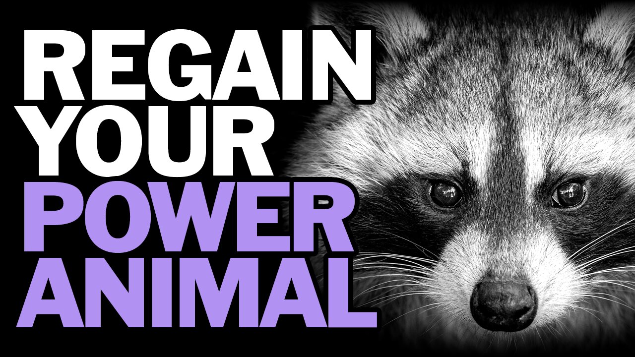 Regain Your Power Animal